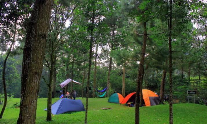Tapian Ratu Camp Real بوغيتّينغي المظهر الخارجي الصورة
